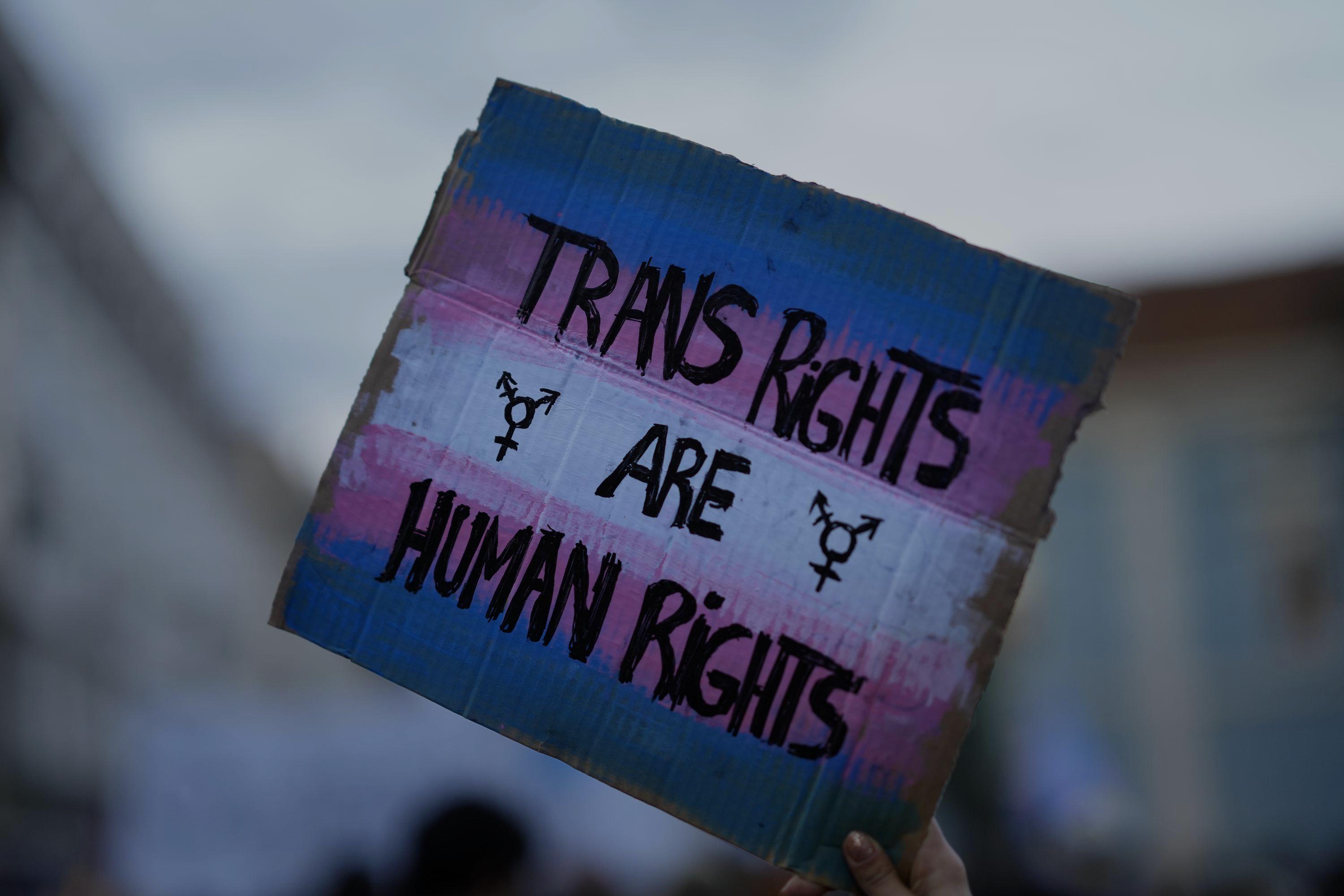 An image of a sign painted with the Trans Pride flag that reads: Trans rights are humans rights.